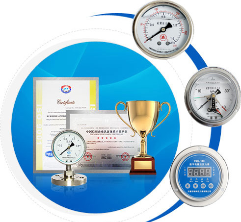 無錫市雪浪特種儀表有限公司